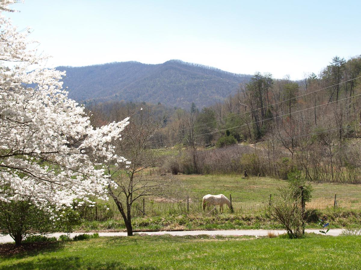Henson Cove Place Bed And Breakfast W/Cabin Hiawassee Extérieur photo